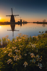 Morning among the windmills in Kinderdijk - one of the most characteristic places in the Netherlands. The beautiful spring adds charm to this place.