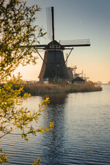 Naklejka premium Morning among the windmills in Kinderdijk - one of the most characteristic places in the Netherlands. The beautiful spring adds charm to this place.