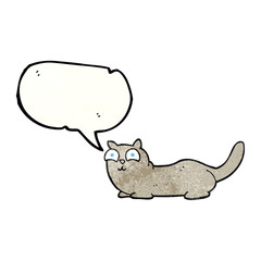 texture speech bubble cartoon cat