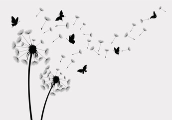 Dandelion with flying butterflies and seeds, vector illustration.