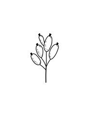 Hand-drawn graphic vector branch with red berries barberry, cranberry, cranberry