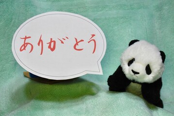 ありがとうパンダ