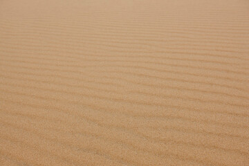 Sand dune at sunset. Nature landscape detail. Desert textured background