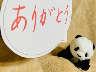 ありがとうパンダ