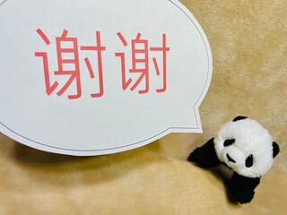 謝謝パンダ