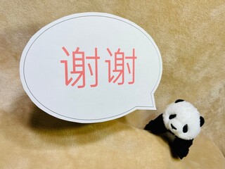 謝謝パンダ