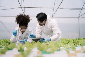 Geneticists, biologists, and scientists are studying the genetic structure of vegetables in a greenhouse.