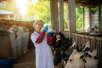 Woman Asian agronomist or animal doctor collecting milk samples at dairy farm