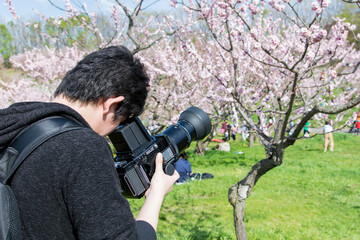 フィルムカメラで撮影