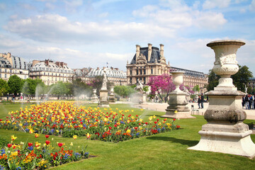 Jardin des Tuileries, Paris - obrazy, fototapety, plakaty