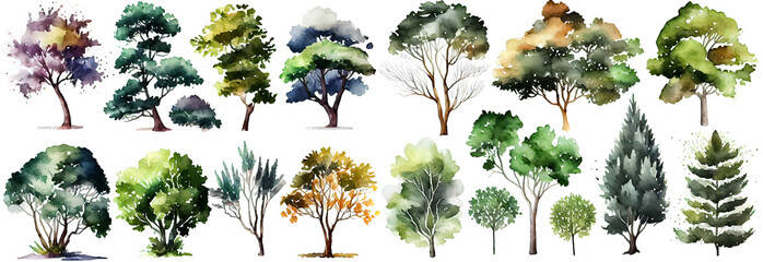 Watercolor trees collection. Set of hand drawn trees. Forest tree pack. Generative Ai.
