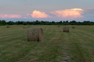 Flat field with roll bales and cumulonimbus cloud illuminated with setting sun, preserved hay as...