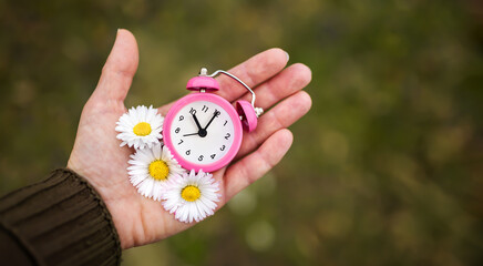 Alarm clock and daisy flowers in a hand, daylight savings time or spring, summer banner