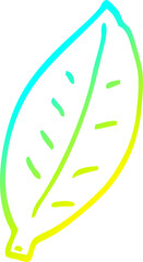 cold gradient line drawing cartoon leaf