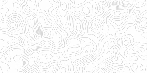 Pattern with lines and Seamless pattern with White wave paper topographic contours map background,curved reliefs abstract background. Topographic map patterns, topography line map. White background.