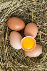Close up hen eggs, broken egg with yolk on hay nest. Organic farm food. Top view.