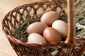 Organic fresh chicken eggs in the wicker basket on hay. Farm products, eco friendly food production. Close up.