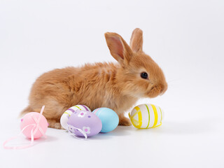 easter bunny beautiful eggs on white background
