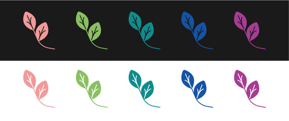 Set Leaf icon isolated on black and white background. Leaves sign. Fresh natural product symbol. Vector