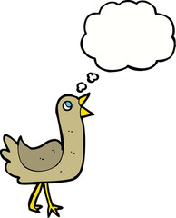 cartoon bird with thought bubble