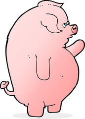 cartoon fat pig