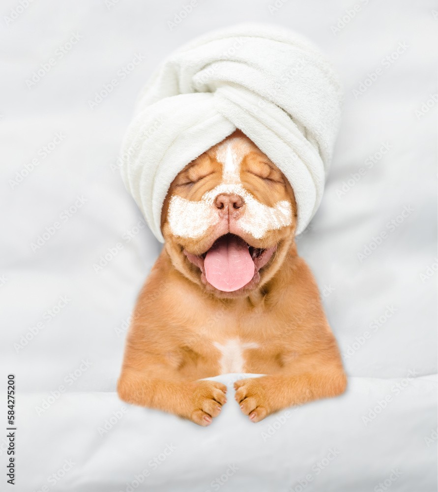 Aufkleber funny mastiff puppy with towel on his head and with cream on his face relaxing on the bed at beauty 
