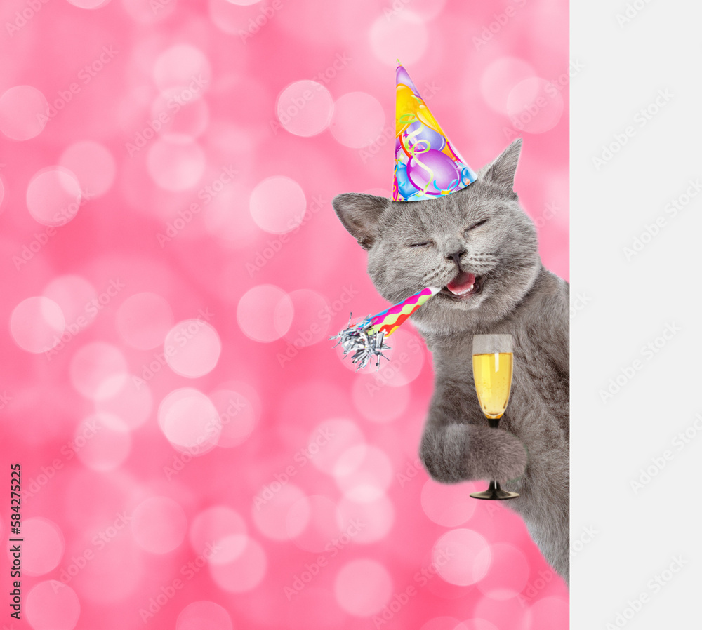 Leinwandbilder happy cat wearing party cap holds glass of champagne looks from behind empty white banner. shade tre