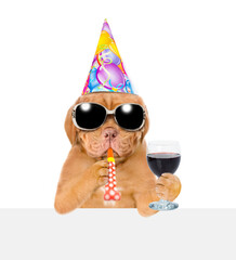 Mastiff puppy wearing sunglasses and party cap blowing in party horn holds glass of red wine above empty white banner. isolated on white background
