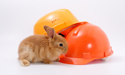 builder's day, symbol of the year easter bunny in a construction helmet on a white background - 584277016