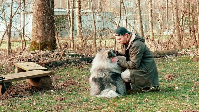 two friends are in the middle of an autumn landscape. An extremely fluffy little wolf and his friend, a blond young man. The man is petting the dog and they look very familiar and loving.
