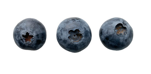 Blueberry