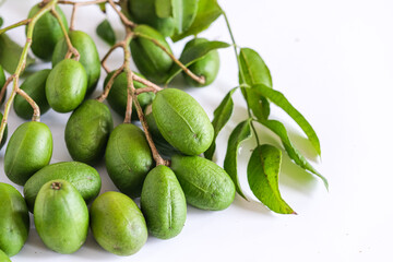 kedondong or ambarella is a tropical fruit. this fruit usually used in salad fruit or rujak and juice