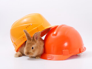 builder's day, symbol of the year easter bunny in a construction helmet on a white background - 584279426