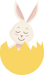 Bunny. Cute pretty Rabbit into Broken Egg. PNG