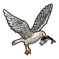 Seagull cormorant with fish in beak color sketch PNG illustration with transparent background