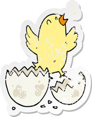 distressed sticker of a cartoon bird hatching from egg