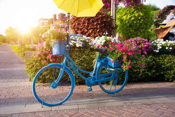 Blue bicycle with flowers in a garden