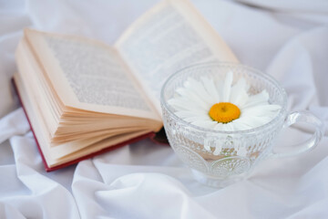 White chamomile in a glass vase on a book