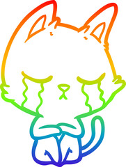 rainbow gradient line drawing crying cartoon cat sitting