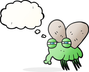 thought bubble cartoon fly