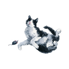 Bicolor black and white cat playing with toy mouse. Watercolor painting isolated on white background