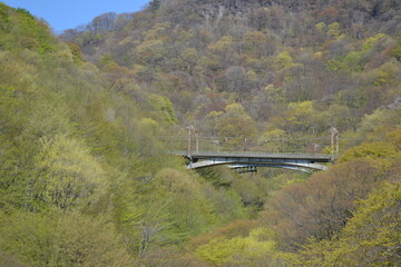 山の間に架かる鉄道橋