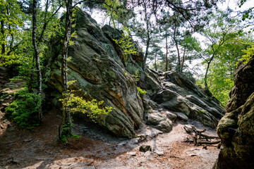 walking track with rocks in germany near tecklenburg