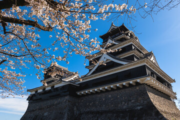 Tenshu of Kumamoto castle in kumamoto city, kyushu, japan