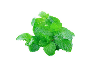 Mint  isolated on transparent png