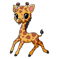 Cute funny baby giraffe posing