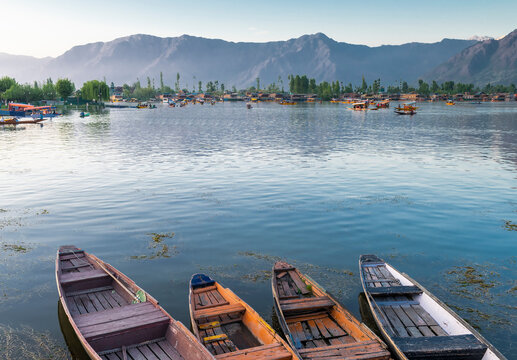 wooden Boats parked in Dal lake, Kashmir, India