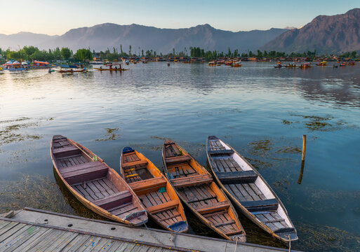 Wooden boats parked in Dal Lake, Kashmir, India