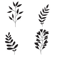 Set of tropical branches with stem and leaves and berries in black isolated on white background. Vector hand drawn silhouette illustration in doodle simple trendy style. Botanical abstract flowers.