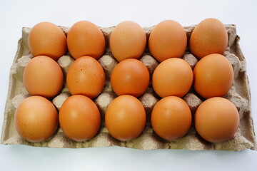 eggs in carton isolated on white background